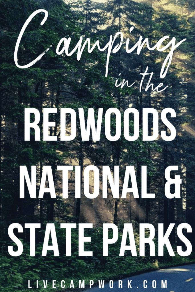 Redwoods National Park Camping